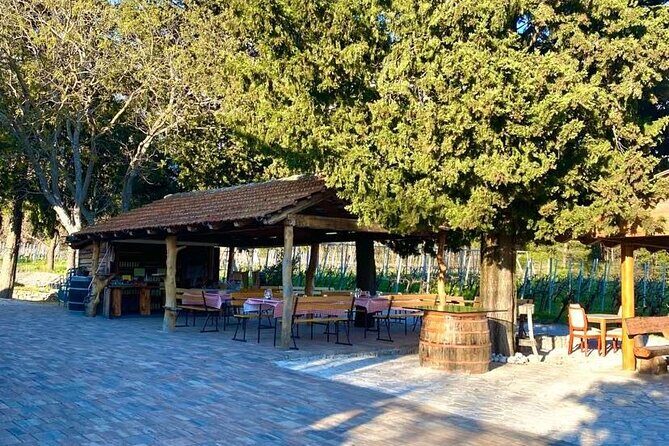Flavours of Konavle: Wine, Food & Village Life Experience - Ljuta restaurant in the riverbed: how to plan for a meal with your feet in the water