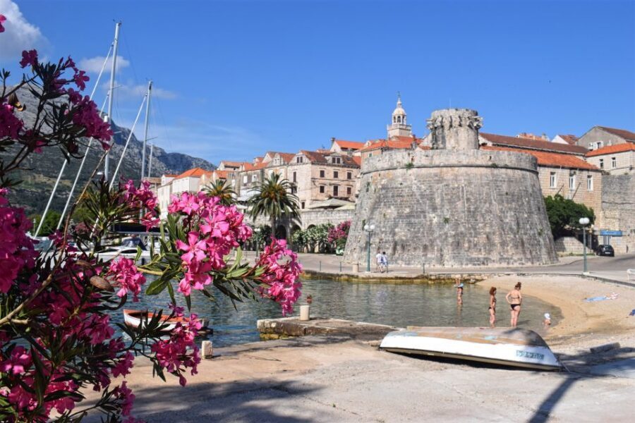 From Dubrovnik: Guided Tour of Pelješac & Korčula - Pelješac wine tasting: what’s included and what to expect