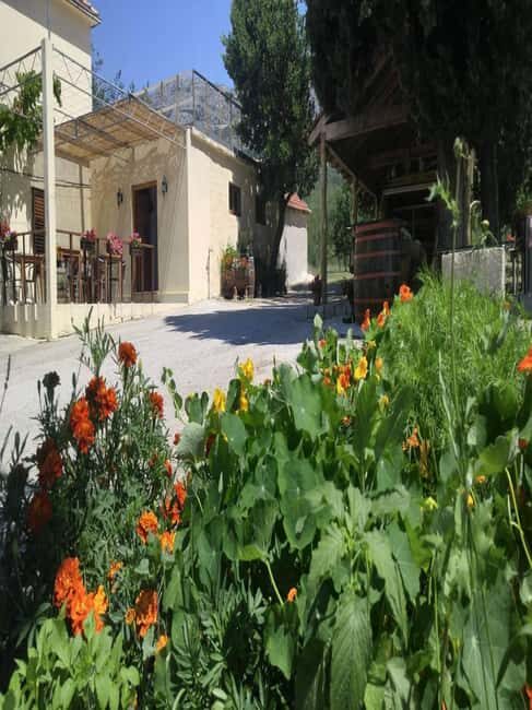 From Dubrovnik: Half-Day Wine Tasting and Cavtat City Tour - From Dubrovnik to Konavle Valley: a short ride with big payoff