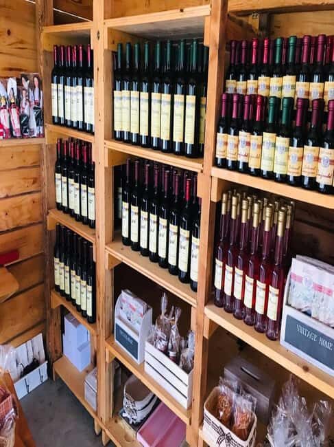 From Dubrovnik: Half-Day Wine Tasting and Cavtat City Tour - The food spread: prosciutto, cheese, olives, and grandma’s signature touch