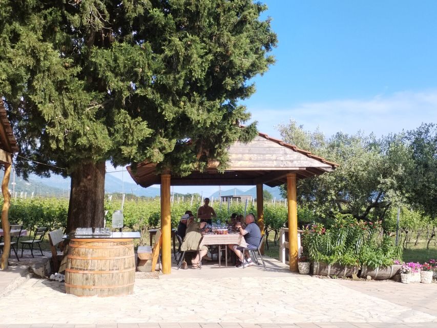 From Dubrovnik: Half-Day Wine Tasting and Cavtat City Tour - Should you book it? A practical checklist