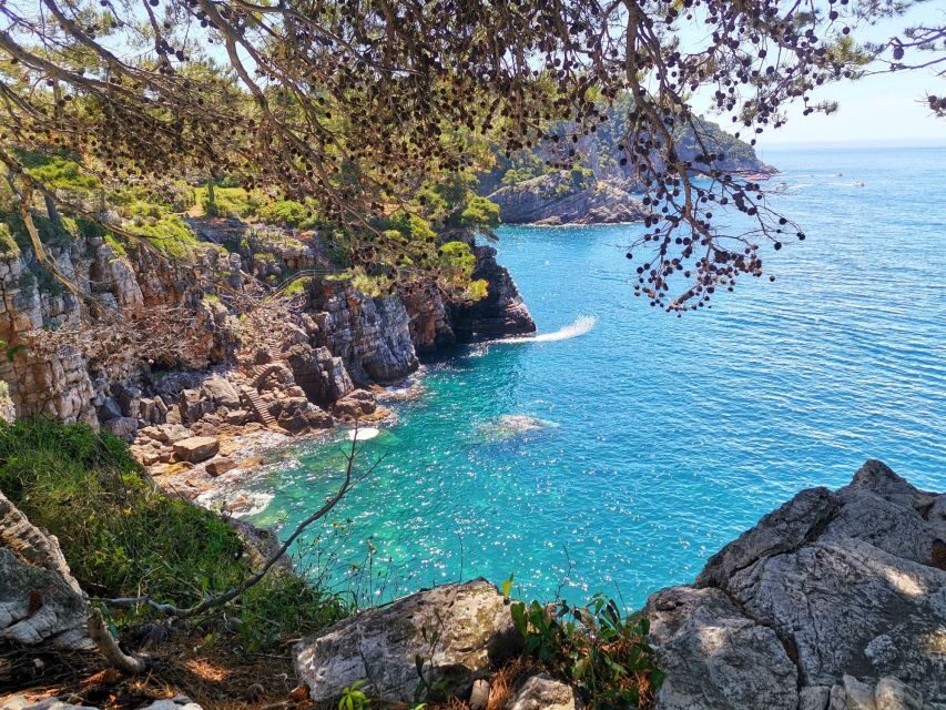 From Dubrovnik: Hiking & Swimming on Koločep Island Day Trip - Weather and pacing: what happens if conditions change