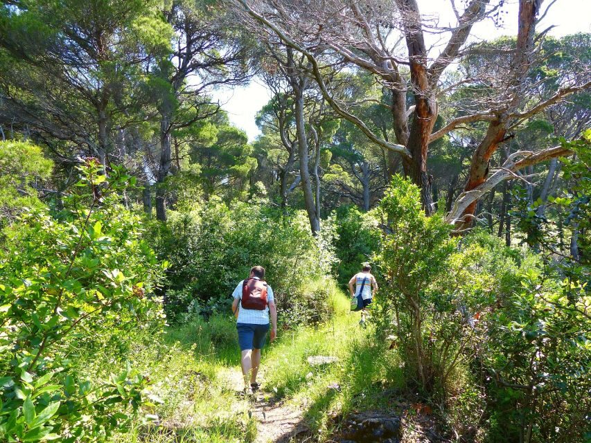 From Dubrovnik: Hiking & Swimming on Koločep Island Day Trip - Who this Kolocep day trip suits best