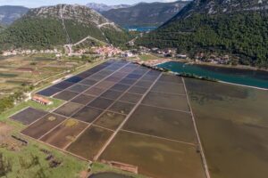 From Dubrovnik: Island of Korčula with wine tasting - Ston’s Walls, Oysters, and Salt Ponds