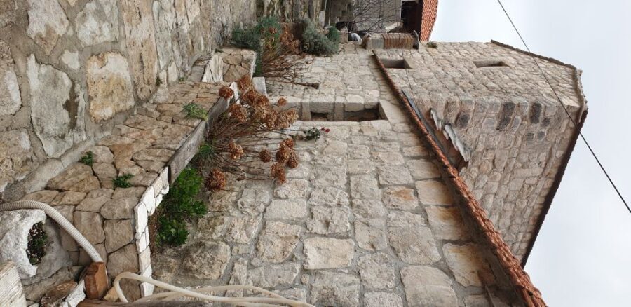 From Dubrovnik: Majkovi Village and Ston Private Food Tour - Price and value: is $524 per group up to 1 worth it?