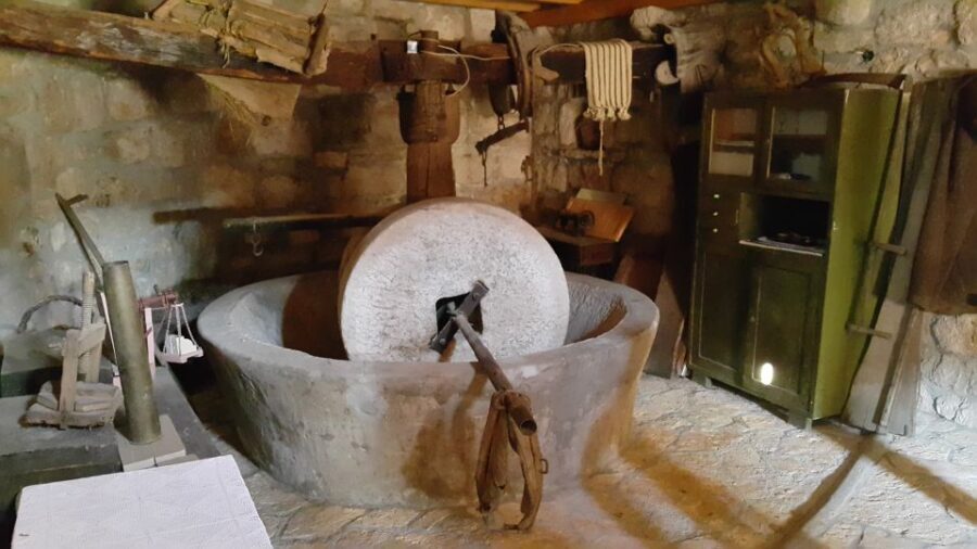 From Dubrovnik: Majkovi Village and Ston Private Food Tour - Trsteno Botanical Garden: Renaissance 1492 in about 45 minutes