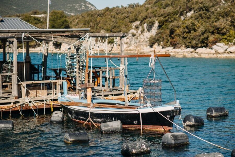 From Dubrovnik: Mali Ston Oyster Paradise Tour with Transfer - Oyster Tasting and Wine Pairing: What Makes the Flavor So Different