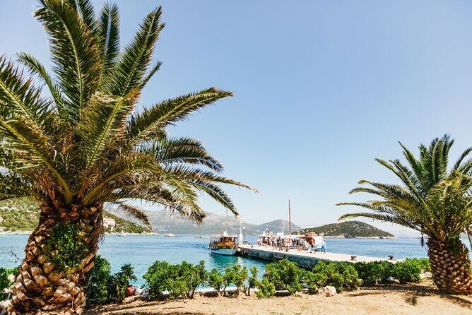 From Dubrovnik: Premium Three Island Cruise with lunch and drinks - Lunch on Board: Fish, Chicken, or Vegetarian (Plus Wine)