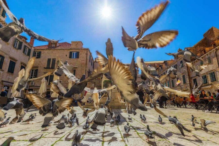 From Makarska : Dubrovnik Guided Tour & Free Time - Price and Value: Is $66 for 10 Hours a Good Deal?