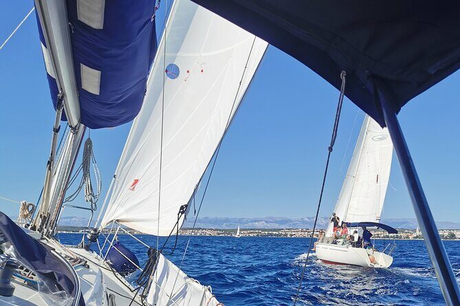 Full Day Sailing Tour To Elafiti Islands from Dubrovnik - A small-boat Elafiti day that feels like your own itinerary