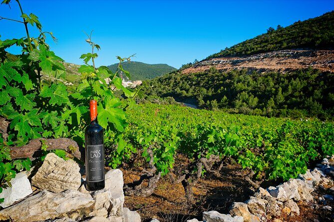 Half Day Tour - Deep and Dark Red Wine of Pelješac - Should You Book This Pelješac Wine and Oyster Tour?
