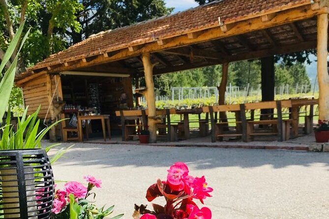 Half-Day Wine and Food Tasting from Dubrovnik - Cavtat Old Town: the scenic wind-down stop