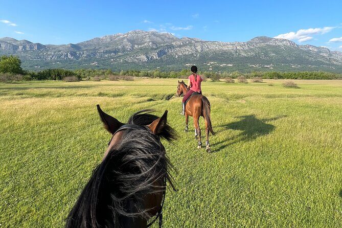 Horseback Riding Experience with transport from Dubrovnik - Snježnica Views and the 60-Minute Trail: Fields, Forests, and Vineyards