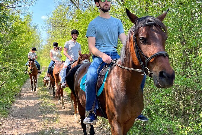 Horseback Riding Experience with transport from Dubrovnik - The Horses: Calm, Friendly, and Really the Reason This Works