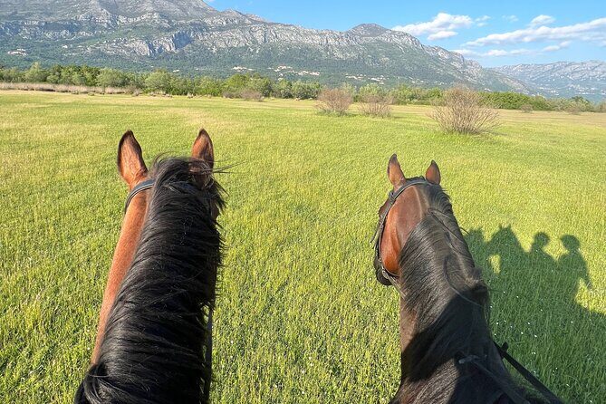 Horseback Riding Experience with transport from Dubrovnik - Price and Value: Why $118.94 Can Be Worth It