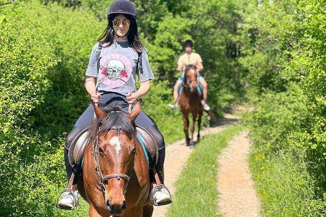 Horseback Riding Experience with transport from Dubrovnik - Should You Book This Konavle Horseback Ride From Dubrovnik?