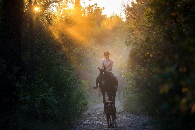 Horseback Riding in Konavle Region with Transport from Dubrovnik - Kojan Koral, Konavle Coast, and Popovići Ruins: The Big Ideas