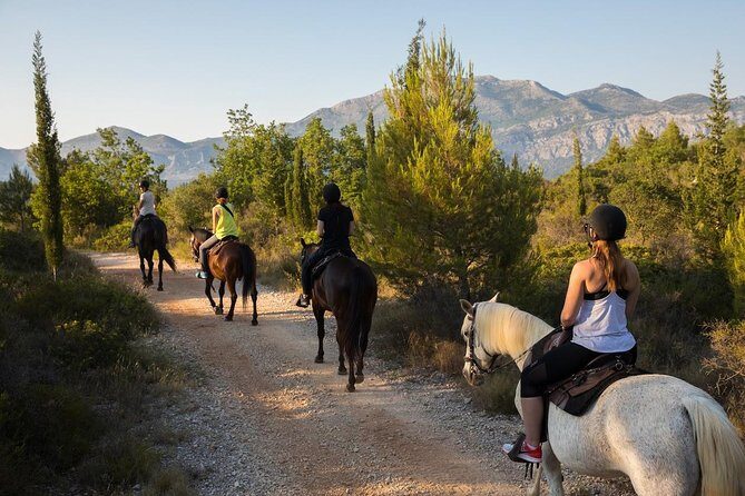 Horseback Riding in Konavle Region with Transport from Dubrovnik - Timing That Works: The 6 PM Start and a True 4-Hour Window