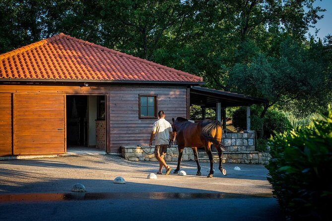 Horseback Riding in Konavle Region with Transport from Dubrovnik - The Ride Itself: Forest Paths, Cliff Coast, and Popovići Archaeological Residues