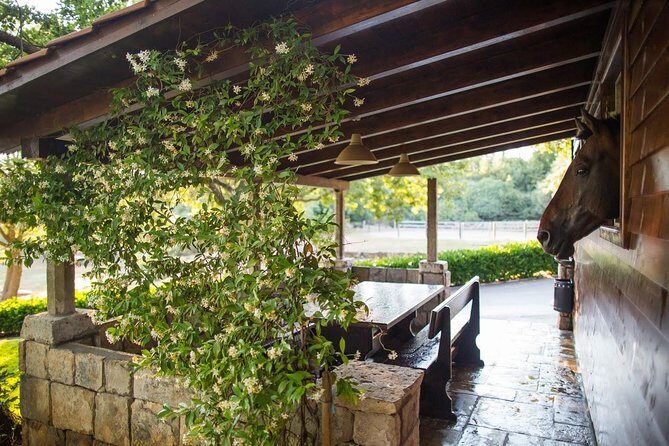 Horseback Riding in Konavle Region with Transport from Dubrovnik - Guides Who Care: Names You Might Hear on Your Ride