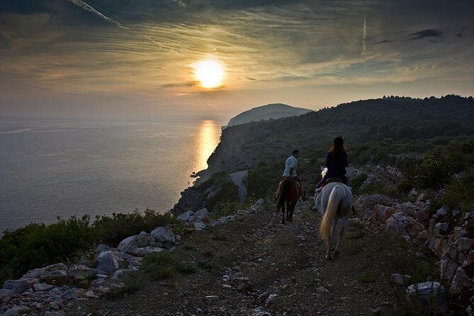 Horseback Riding in Konavle Region with Transport from Dubrovnik - Who This Tour Is Best For (and Who Might Hesitate)