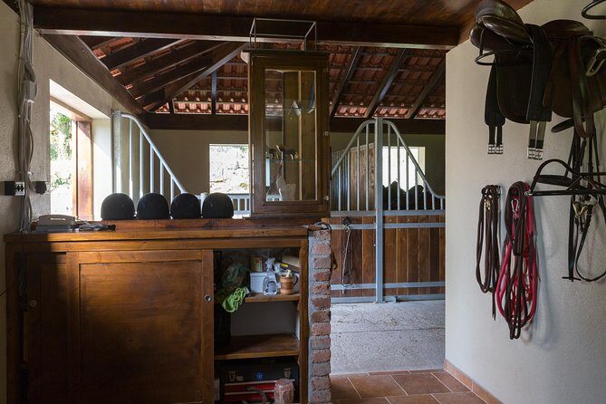 Horseback Riding in Konavle Region with Transport from Dubrovnik - Dress Code and Packing: Smart Casual That Still Works in Nature