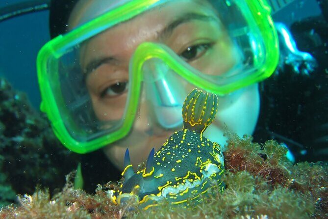 Intro Dive in Dubrovnik - Before you hit the water: equipment, pressure, signals, and technique