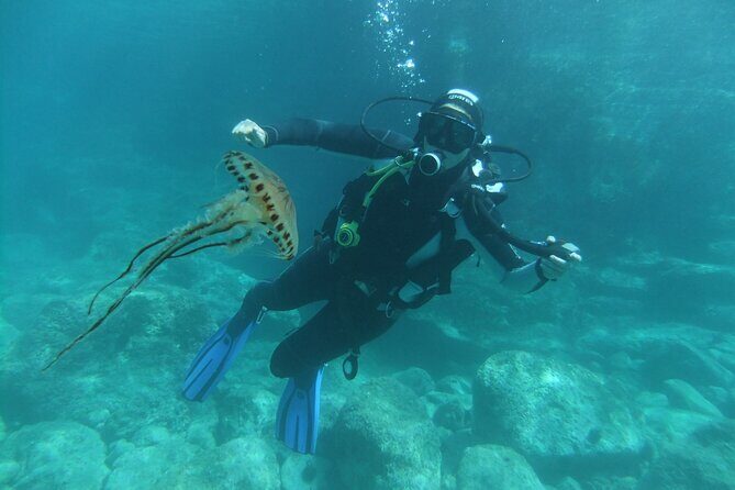 Intro Dive in Dubrovnik - Small group size (up to 4) and why it matters for first-timers