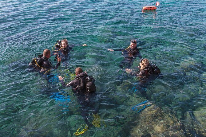 Intro Dive in Dubrovnik - Your first 45 minutes underwater: shore entry, max depth, and real practice