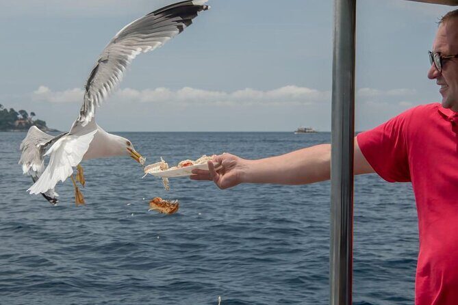 Island Hopping & City Walls Cruise with Food and Open Bar - Stop 3: Lopud’s 2 Hours and the Real Question About Šunj Beach