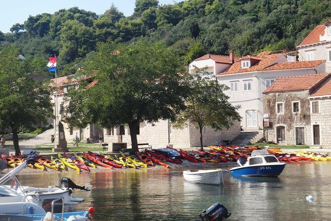 Kayak and Bike Tour to Sipan island from Lopud - Stop 3 on Sipan: Lunch in Luka and Sea Time