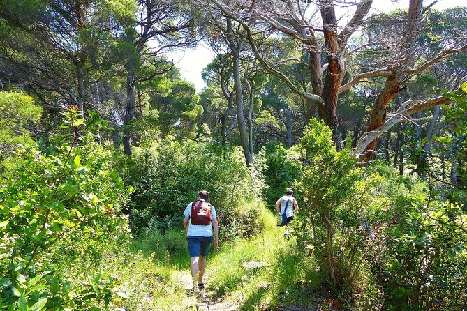 Kolocep Island Hiking and Swimming Full Day Trip from Dubrovnik - The Second Half: After Swimming, Back to the Island Rhythm