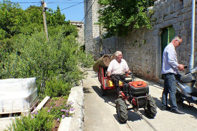 Kolocep Island Hiking and Swimming Full Day Trip from Dubrovnik - Lunch on Koločep: Restaurant Option and What to Bring