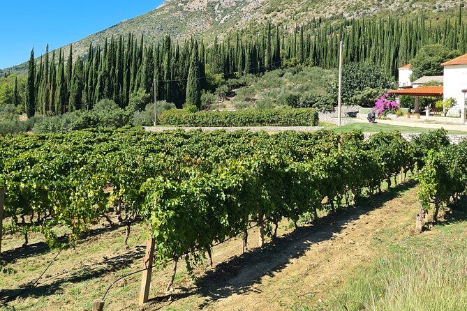Konavle Gastro & Culture Tour (Private Tour) - Price and value: what $612.78 per person is buying