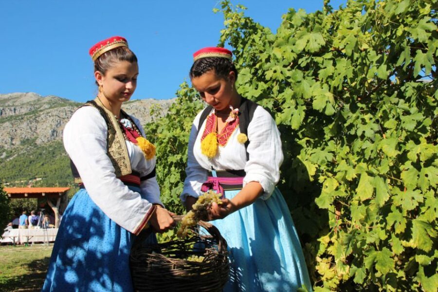 Konavle Valley: Private Half-Day Tour with Wine Tasting - Pickup, Coach Ride, and the Countryside Story Behind the Stops