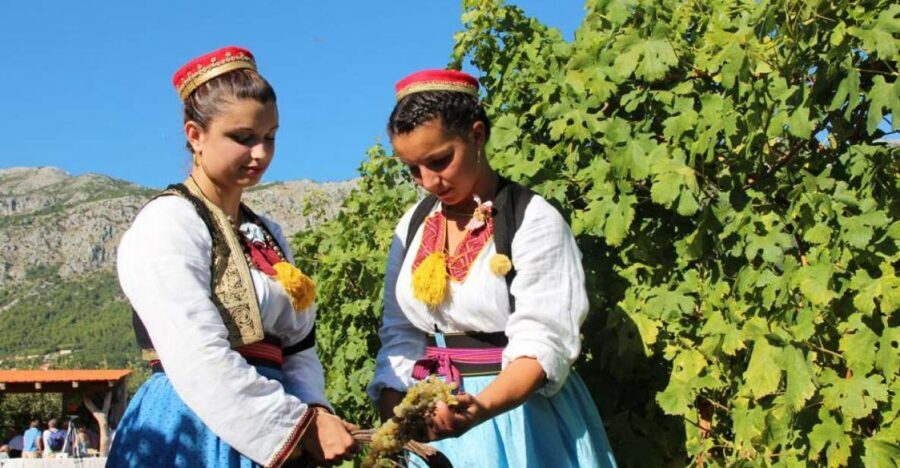 Konavle Valley: Private Half-Day Tour with Wine Tasting - Sokol Fortress (Sokol Tower) and What You’ll Want to Know Before Paying