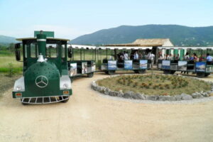 Konavle Valley: Tour with Wine Tasting from Dubrovnik - The coach ride that sets the tone (and keeps it easy)