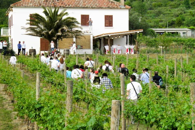 Konavle Valley: Tour with Wine Tasting from Dubrovnik - Ljuta’s water-powered mill: flour, wool, and village life
