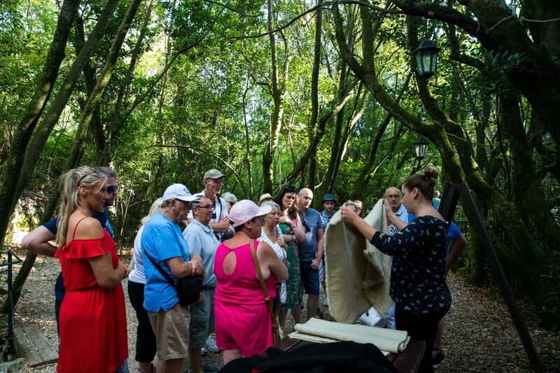Konavle Valley: Tour with Wine Tasting from Dubrovnik - Ploughman’s lunch and local snacks in the Konavle tradition