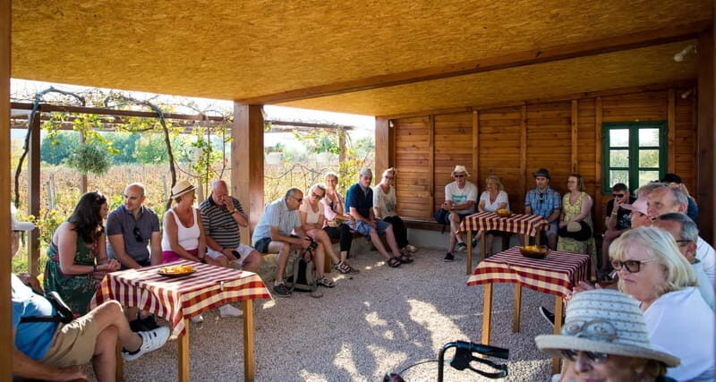 Konavle Valley: Tour with Wine Tasting from Dubrovnik - Transport, timing, and how 6 hours feels on the ground