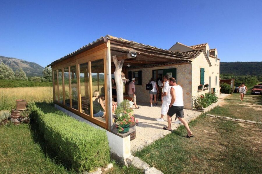 Konavle wine tasting tour from Dubrovnik with 2 vinery's - Should you book this Konavle wine tasting with Ragusa Tours?