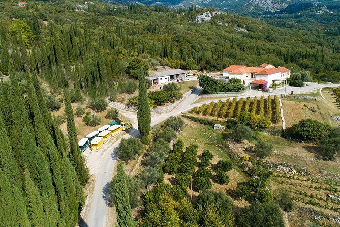 Konavle wine tasting tour from Dubrovnik with 2 vinery's - Stop 1: your first Konavle winery tasting table