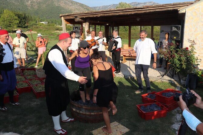 Konavle wine tasting tour from Dubrovnik with 2 vinery's - Stop 2: a second winery, a chance to compare