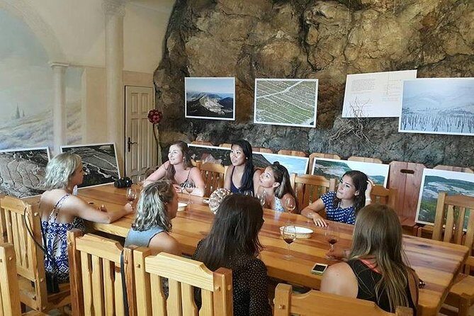 Korcula & Peljesac Full Day Private Tour from Dubrovnik - Guides, pacing, and the kind of day it is