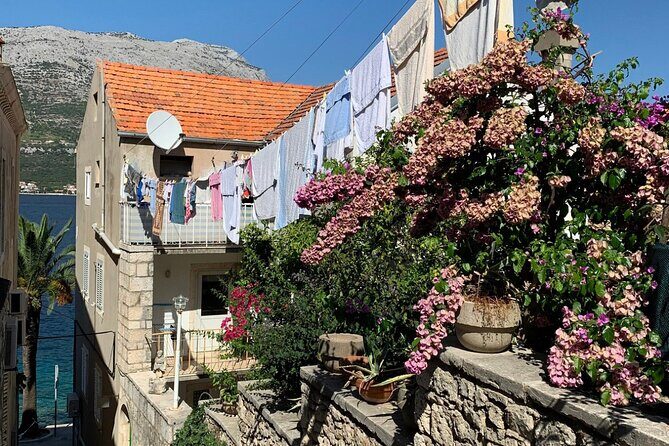 Korcula Private Tour - Food and wine breaks that feel local, not staged