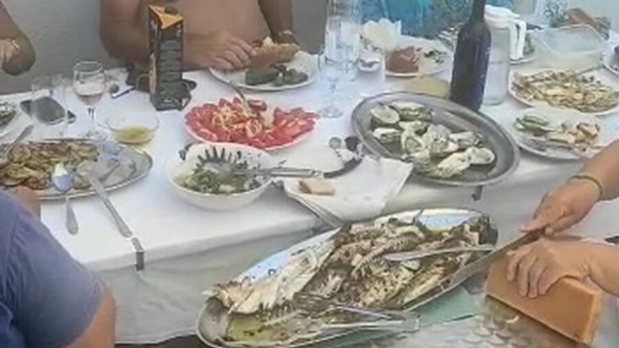 Korcula, Ston, Wine Tasting and Lunch - Tour from Dubrovnik - Should you book this tour?