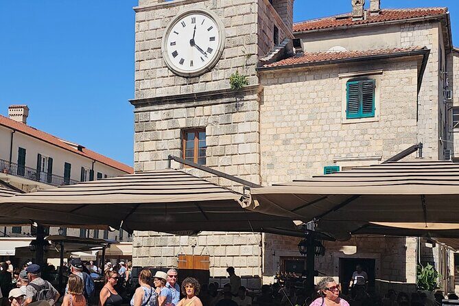 Luxury Day tour to Montenegro - Stop 3: Porto Montenegro promenade and marina time
