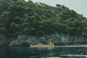 Mljet National Park trip - Pure Nature & Island Escape - Mljet National Park: Bike Time, Saltwater Lakes, and St Mary