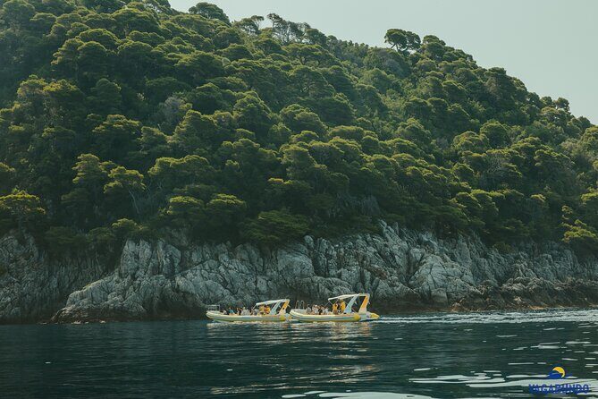 Mljet National Park trip - Pure Nature & Island Escape - Mljet National Park: Bike Time, Saltwater Lakes, and St Mary