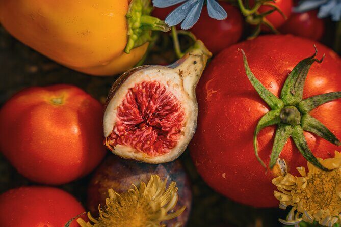 Olive farm & village - Key things that make this Vardia olive farm tour special